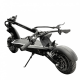 SmartGyro Raptor Black