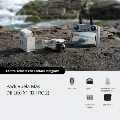 DJI Lito 1X